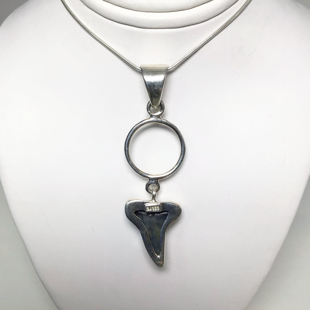 Fossilized Shark Tooth Pendant