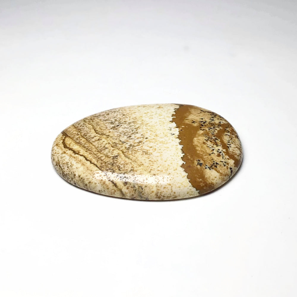 Worry Stone - Picture Jasper