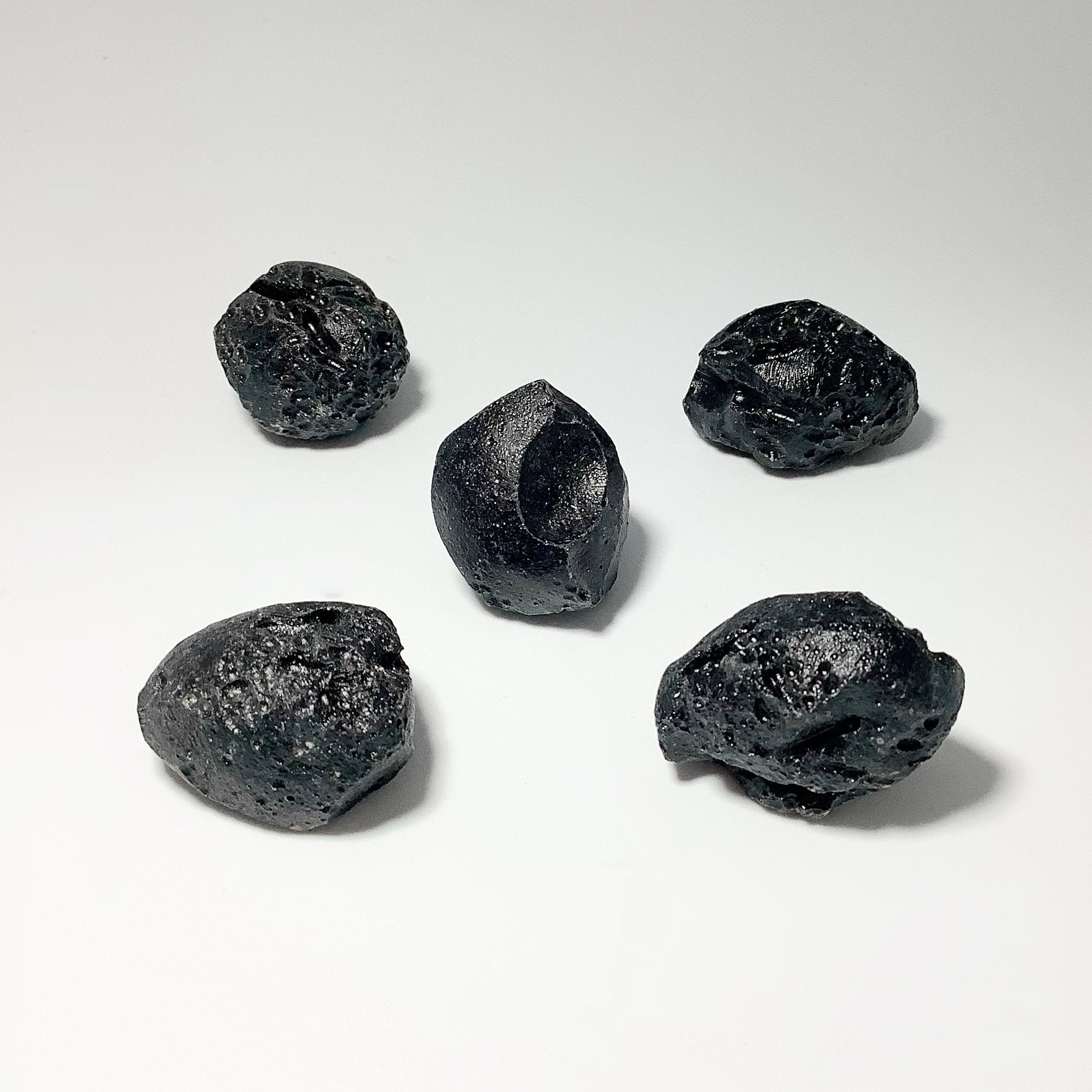 Black Tektite Specimen at $19 Each