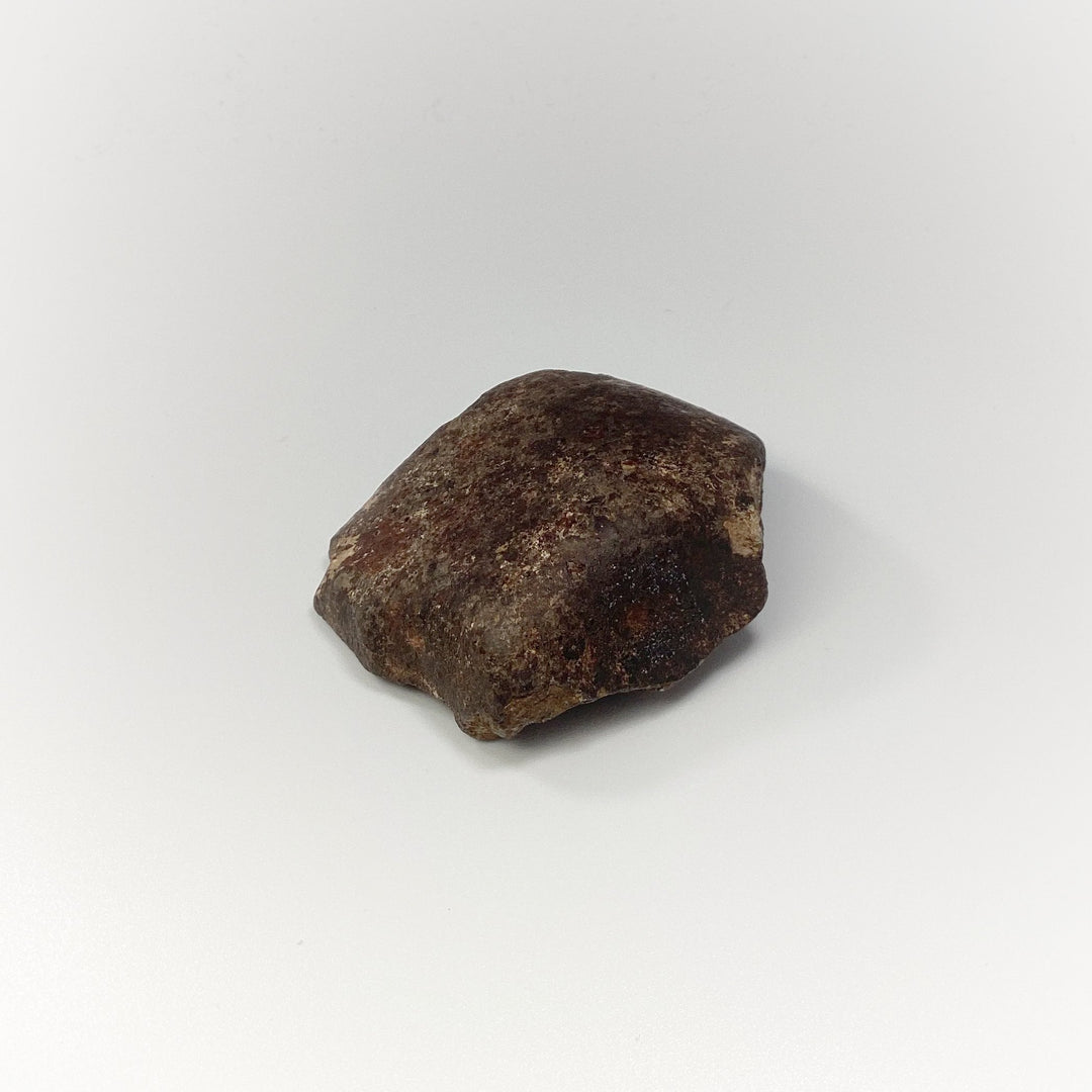 NWA Chondrite Meteorite Specimen