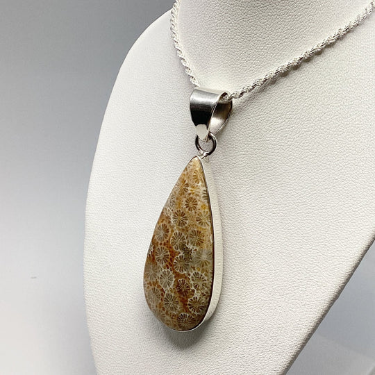 Fossilized Coral Pendant