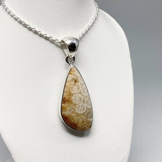 Fossilized Coral Pendant