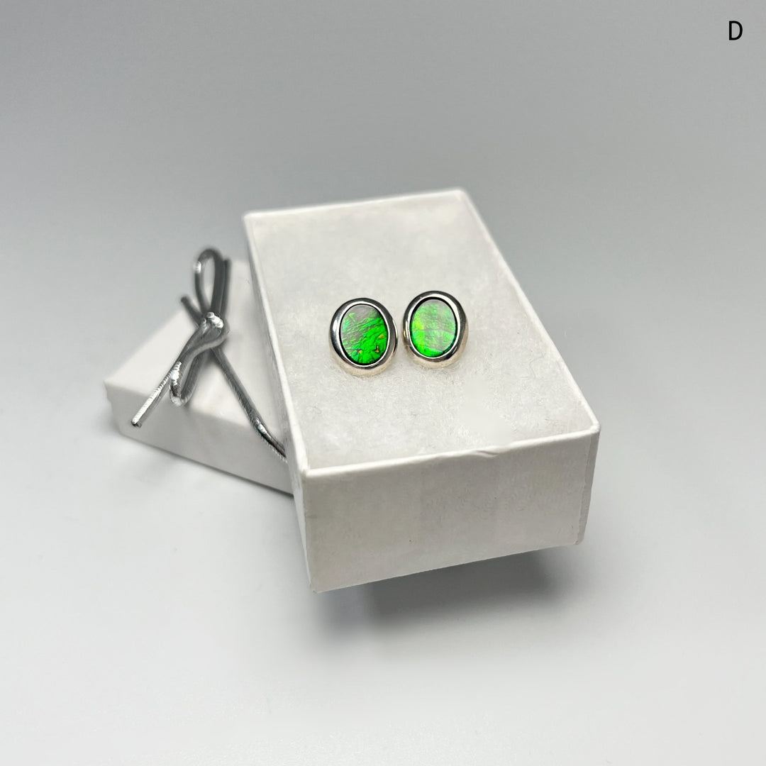 Alberta Ammolite Stud Earrings