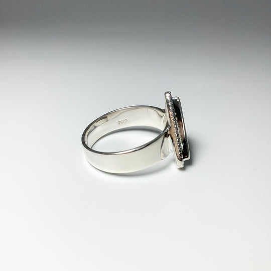 Muonionalusta Meteorite Triangle Setting Ring