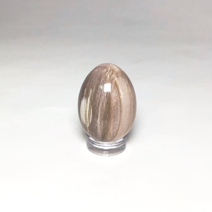 Petrified Wood Mini Egg