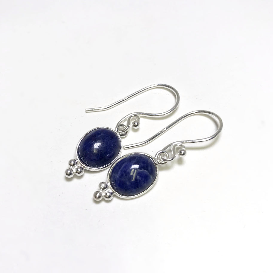 Sodalite Dangle Earrings