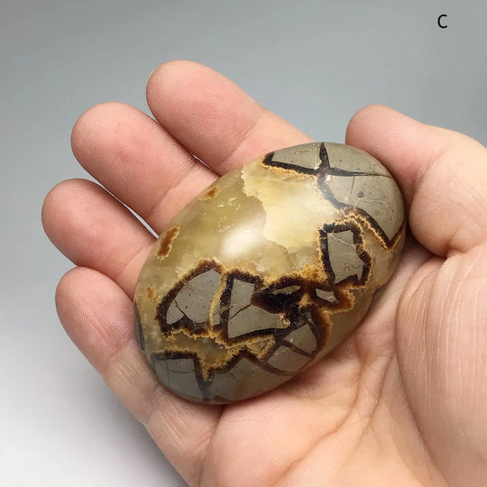 Septarian Tumble at $35 Each