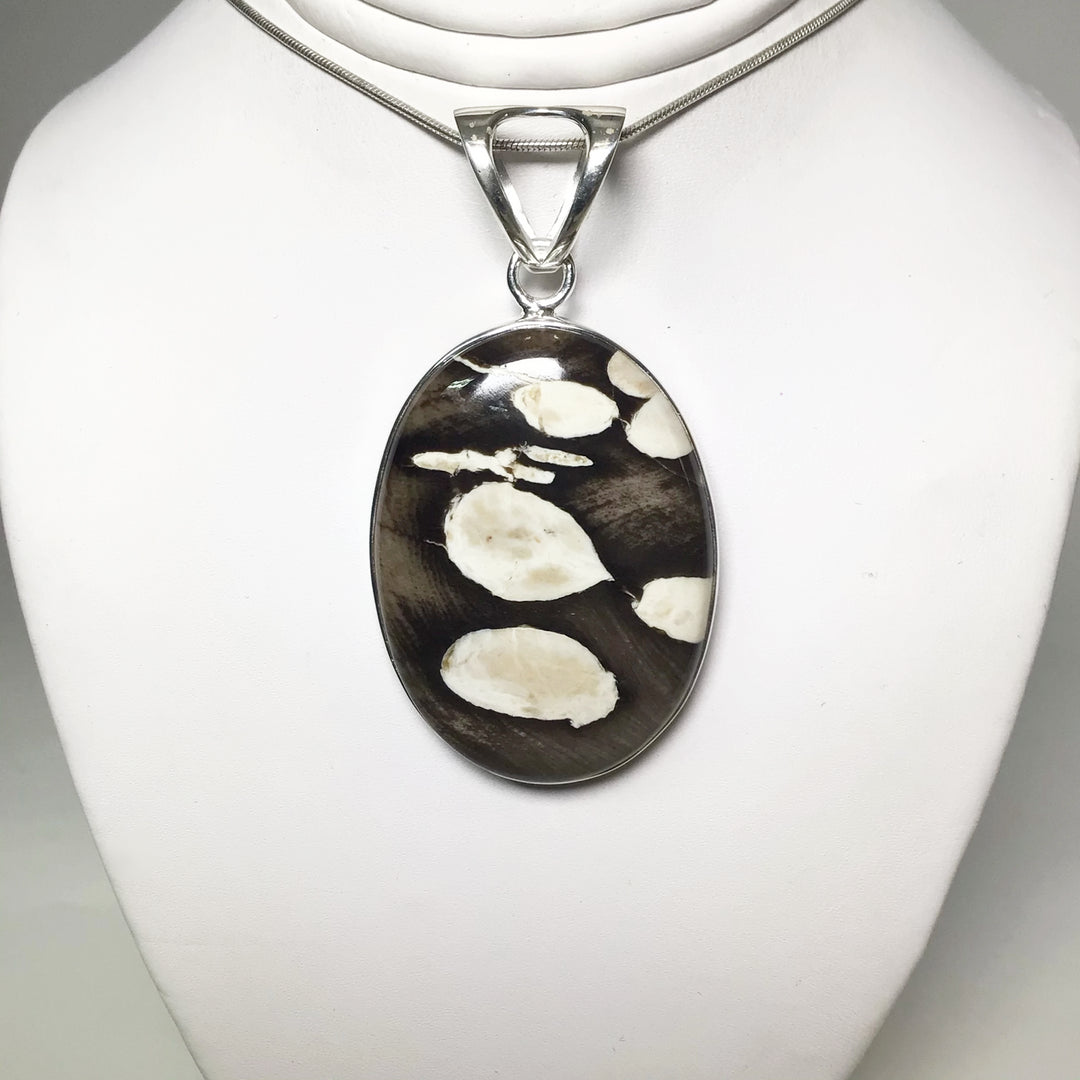 Petrified Peanut Wood Pendant