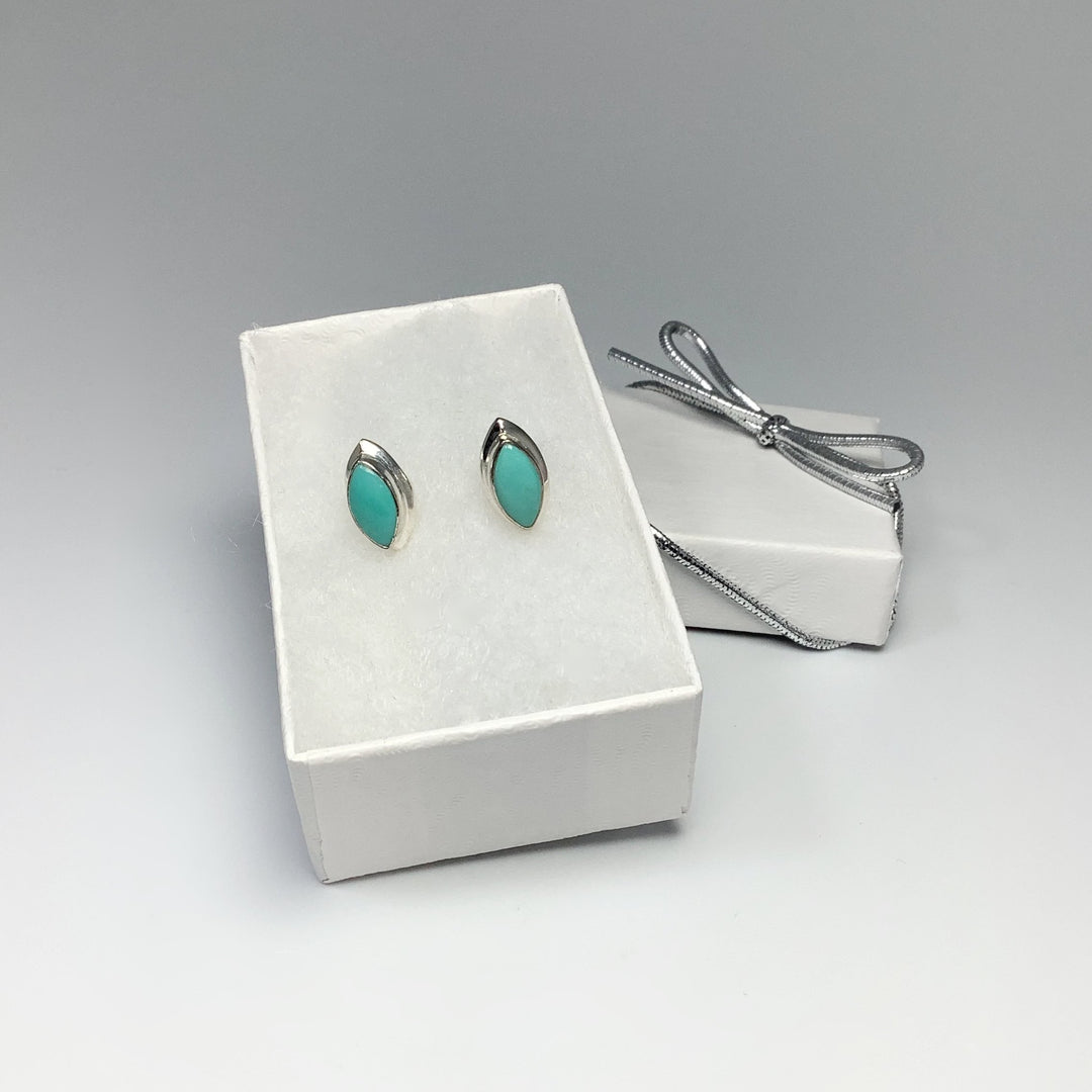 Turquoise Stud Earrings