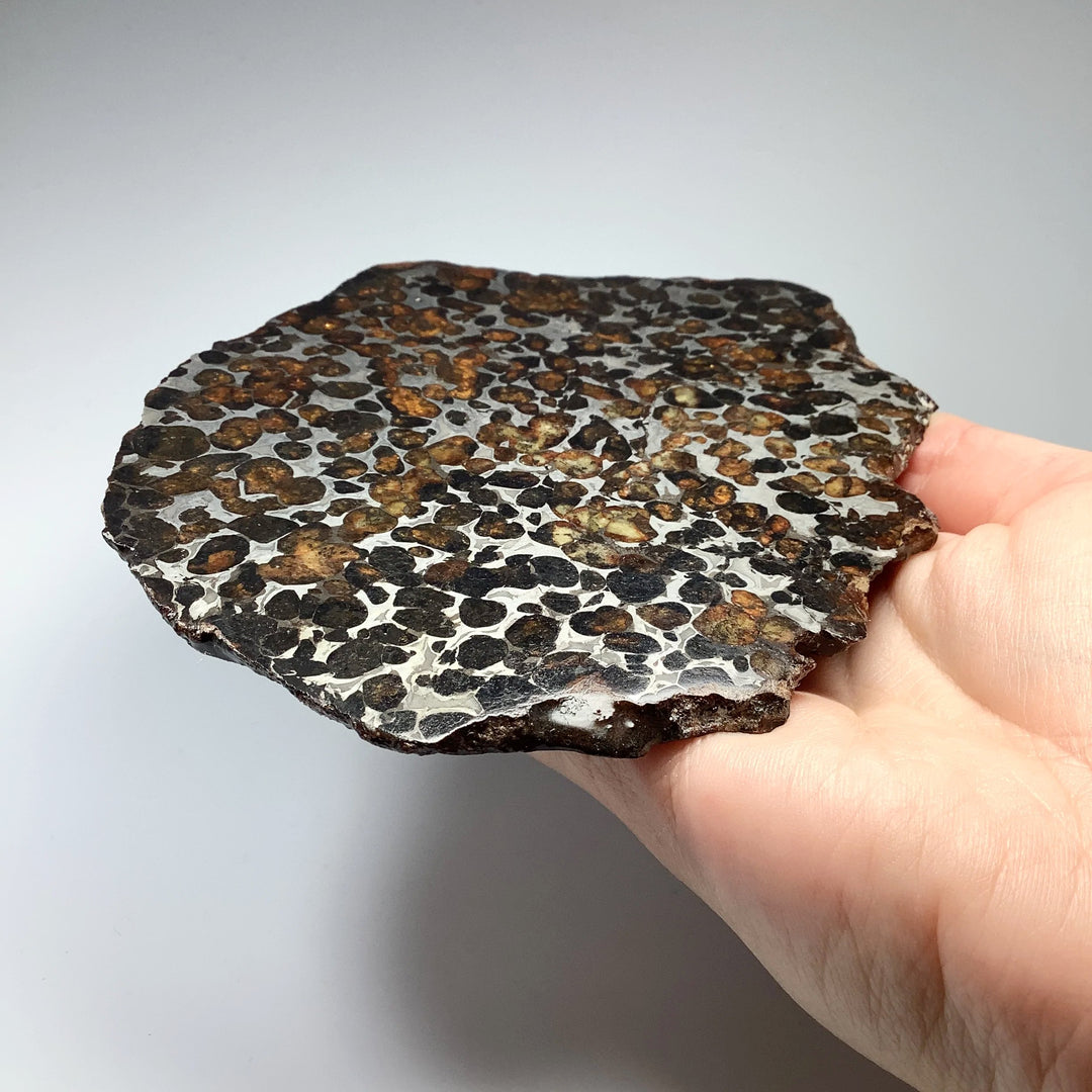 Sericho Large Meteorite Slice