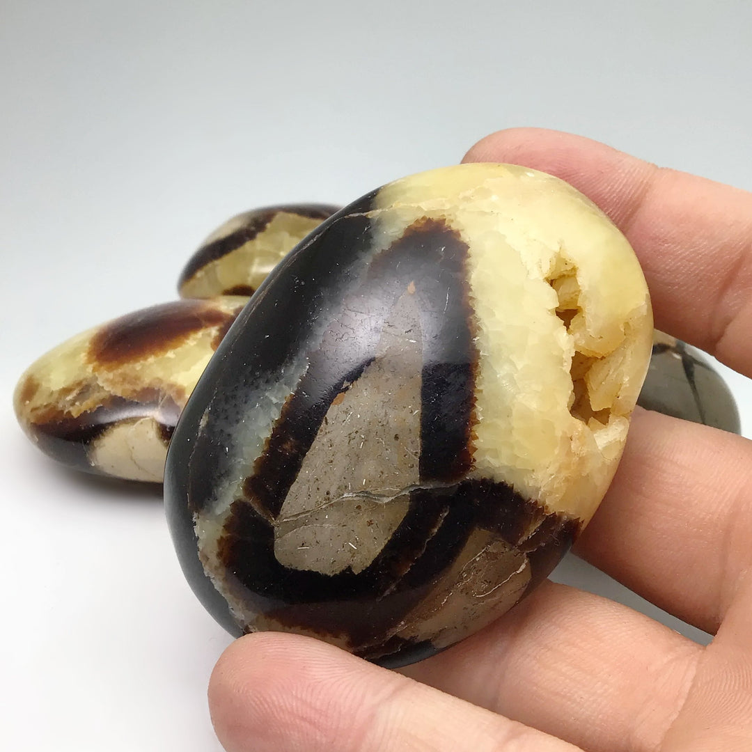 Septarian Tumble at $35 Each