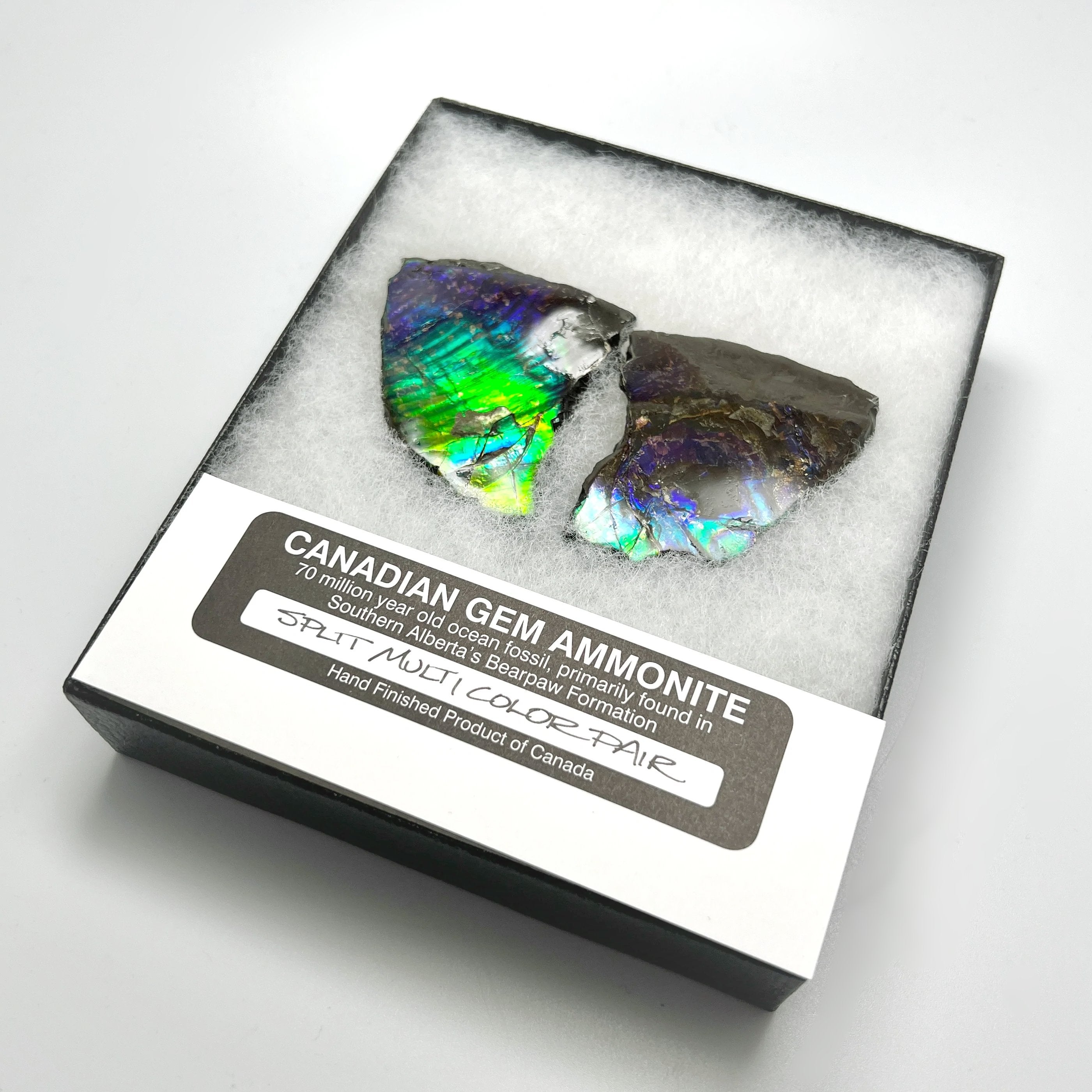 Ammolite Gem Display Box