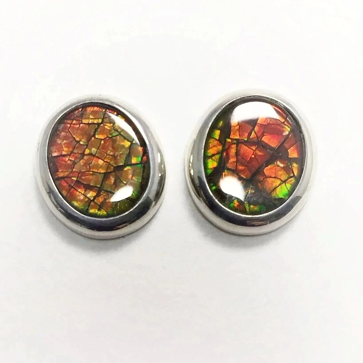 Alberta Ammolite Stud Earrings – Rocks and Gems Canada