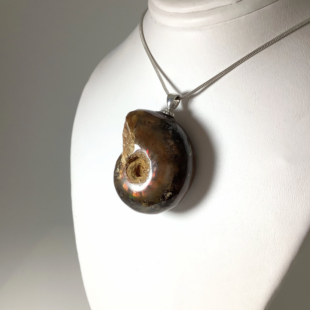 Colourful Ammonite Pendant