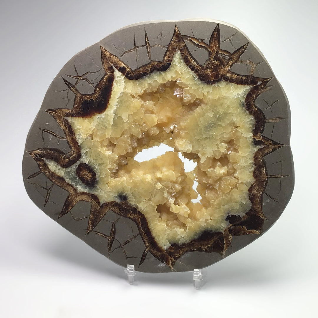 Septarian Slab