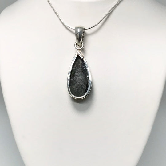 Orthoceras Pendant