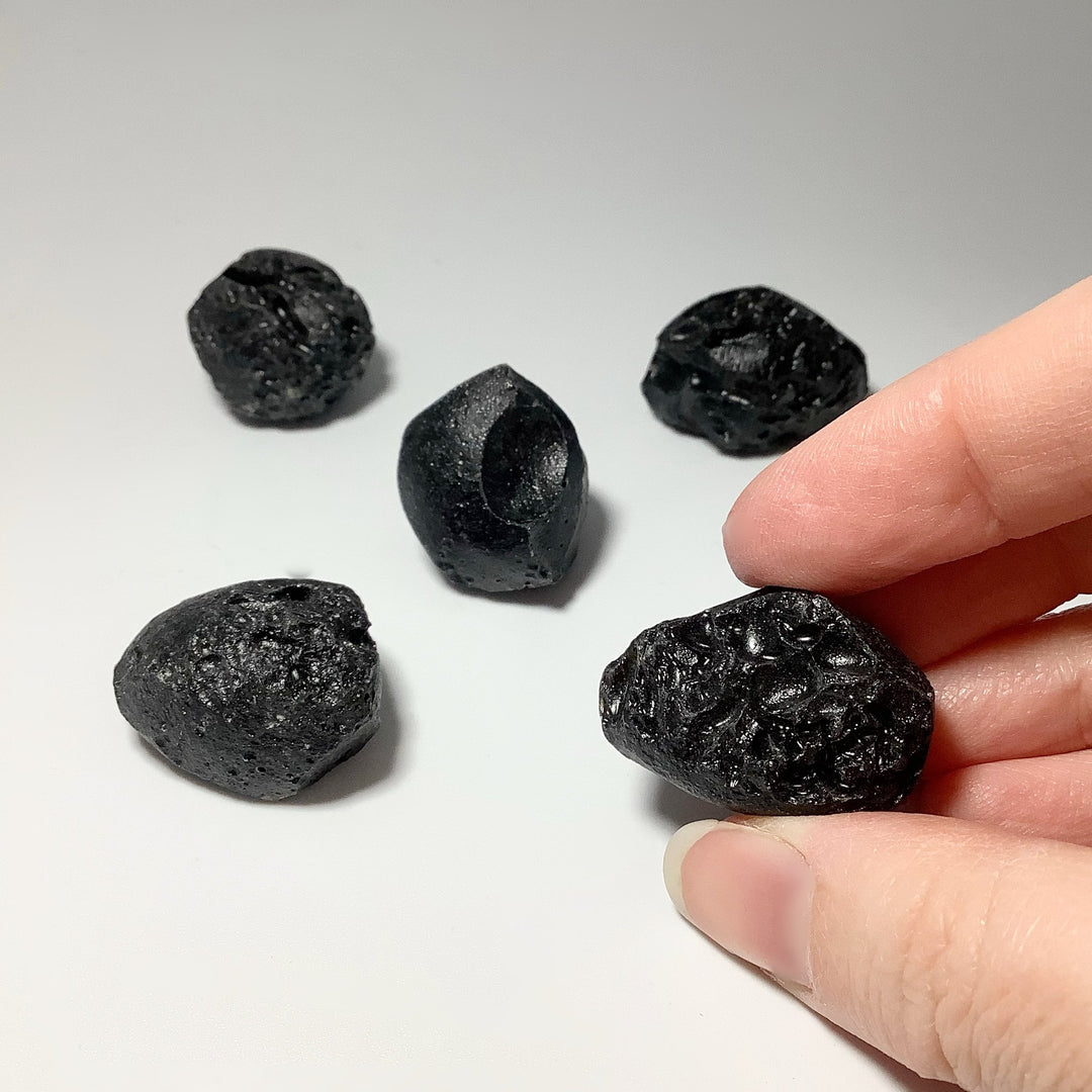 Black Tektite Specimen at $19 Each