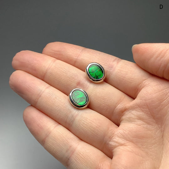 Alberta Ammolite Stud Earrings