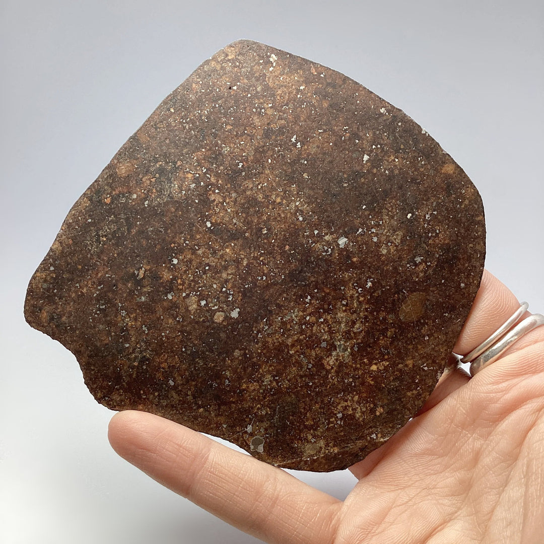 NWA Chondrite Meteorite Slab