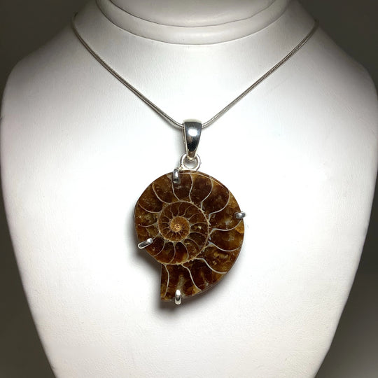 Chambered Ammonite Pendant