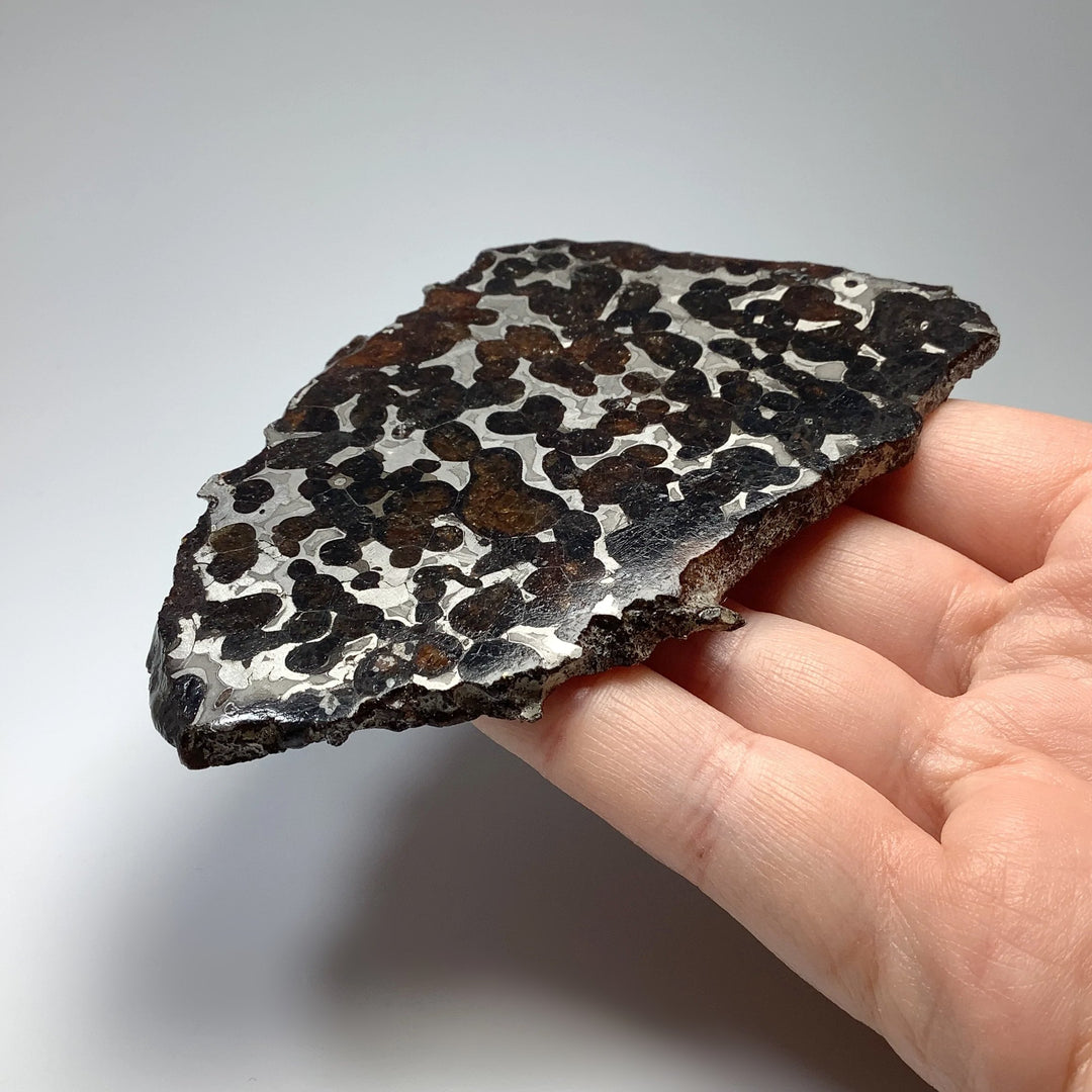 Sericho Meteorite Slice