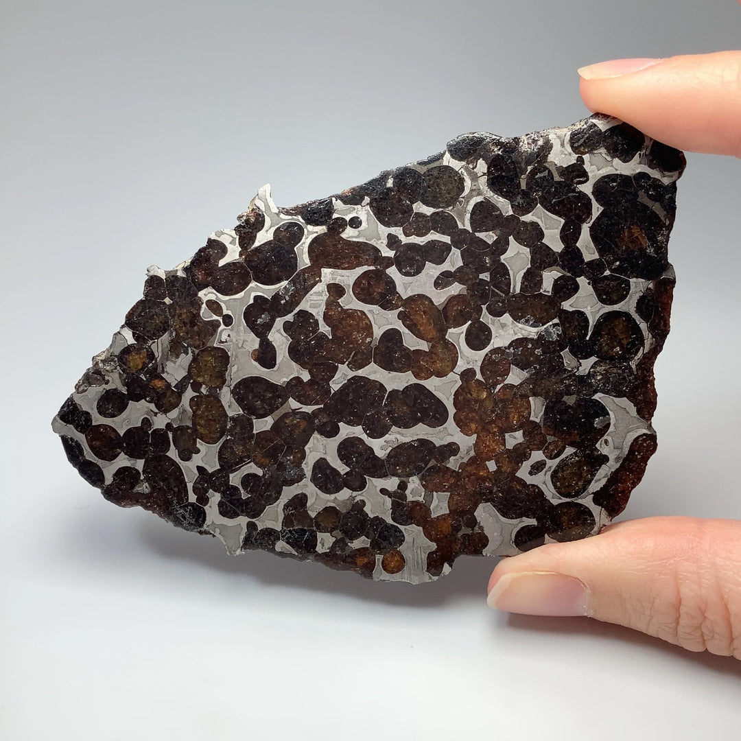 Sericho Meteorite Slice