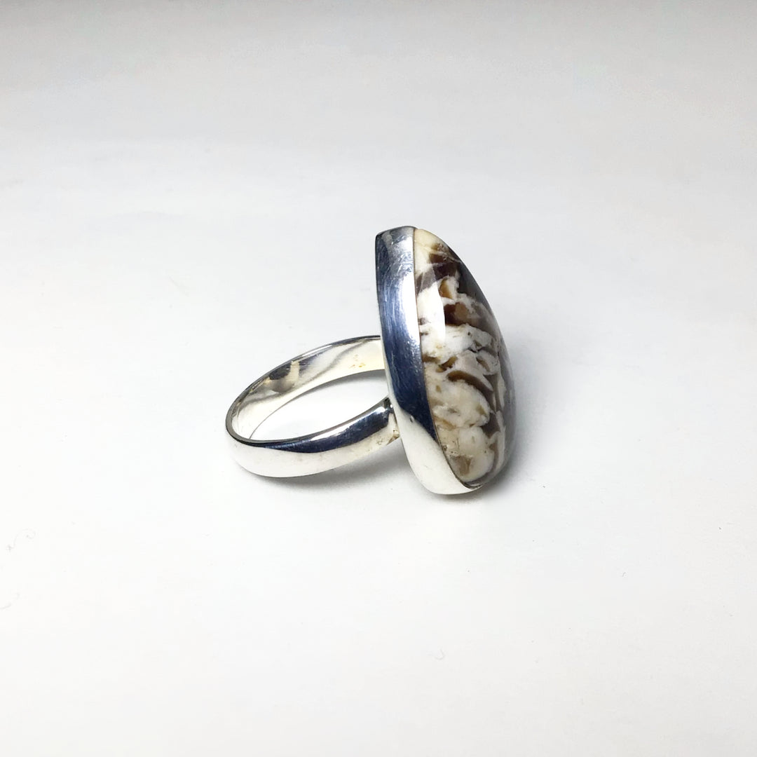 Petrified Peanut Wood Ring