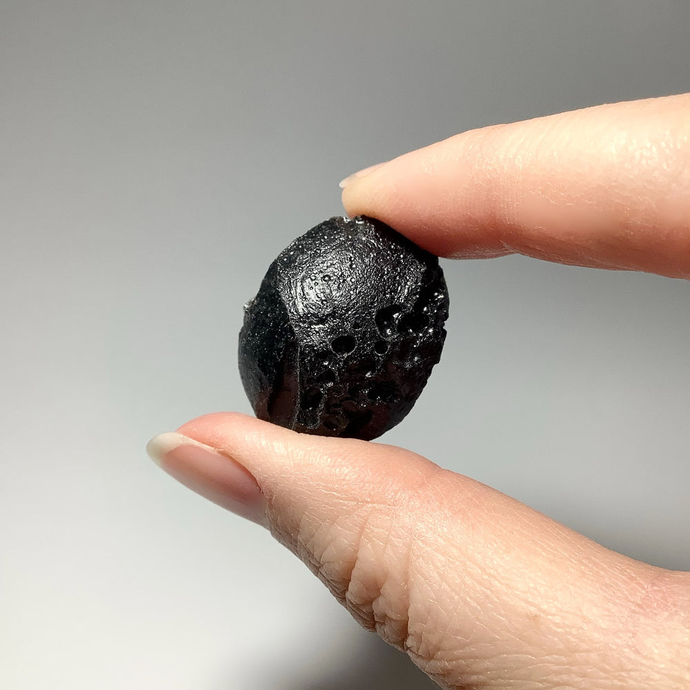 Black Tektite Specimen at $19 Each