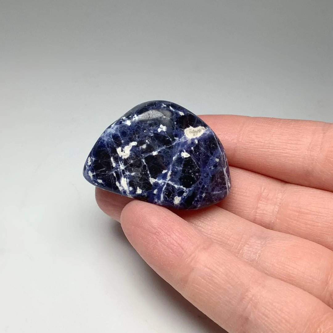 Sodalite Tumble at $10 Each