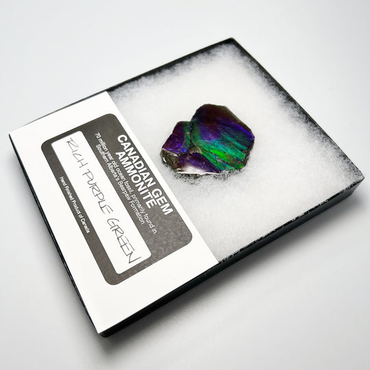 Ammolite Gem Display Box