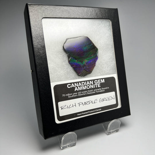 Ammolite Gem Display Box