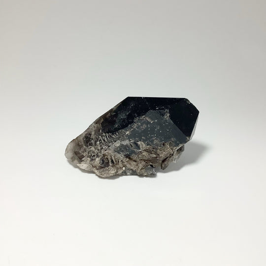 Smoky Quartz Cluster