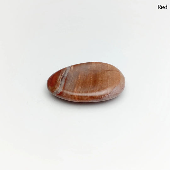 Worry Stone - Petrified Wood