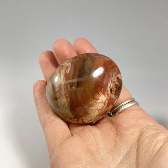 Petrified Wood Tumble