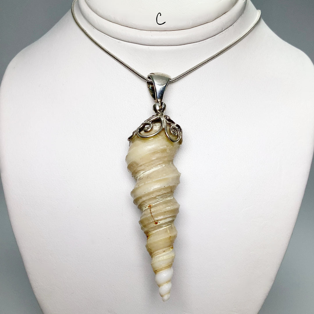 Fossilized Turritella Pendant