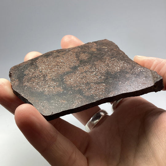 NWA Chondrite Meteorite Slab