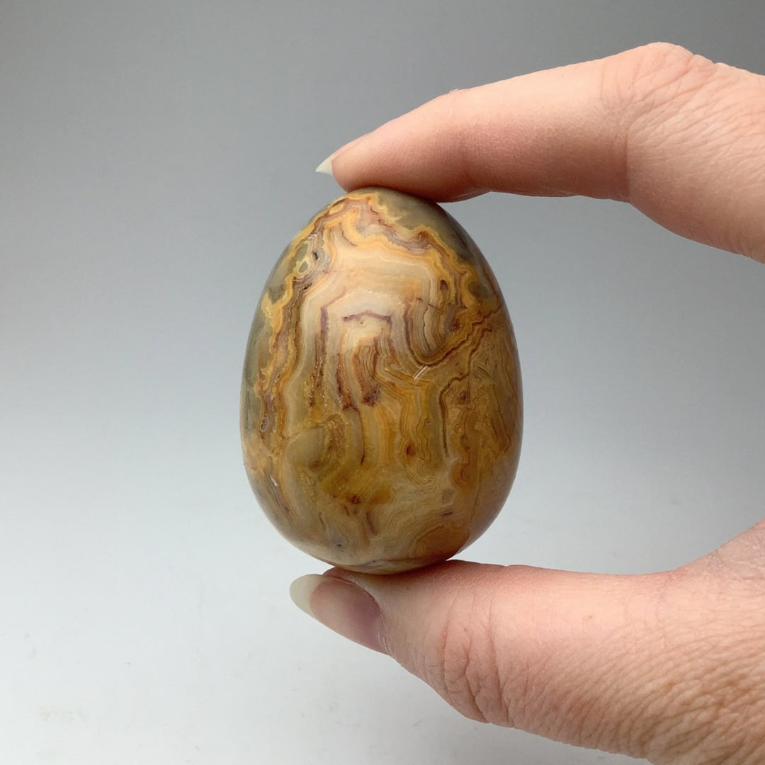 Crazy Lace Agate Egg