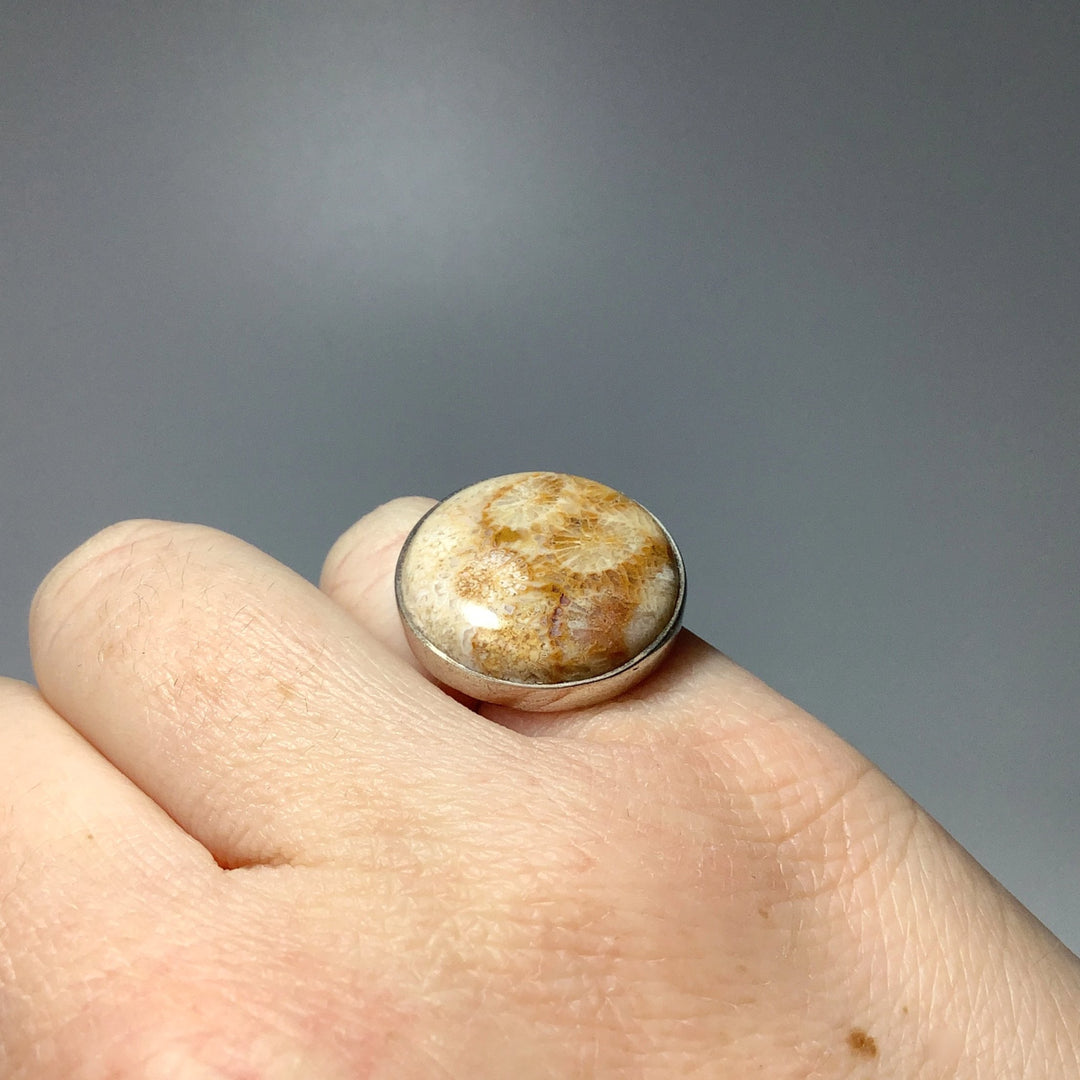 Fossil Coral Ring