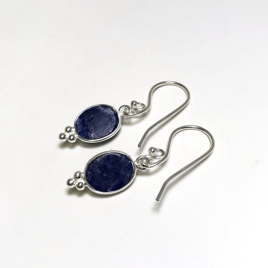 Sodalite Dangle Earrings