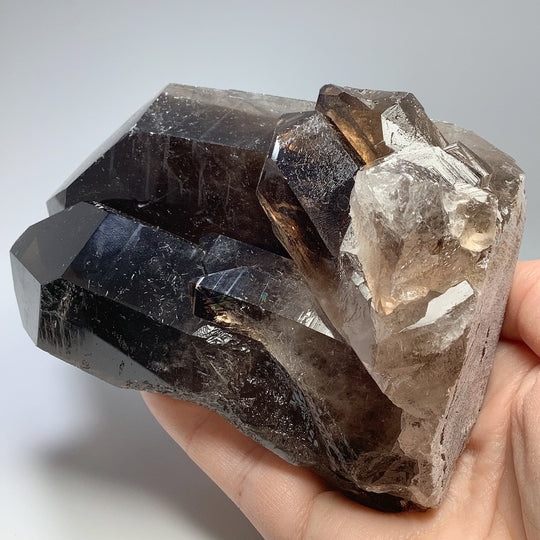 Smoky Quartz Large Cluster