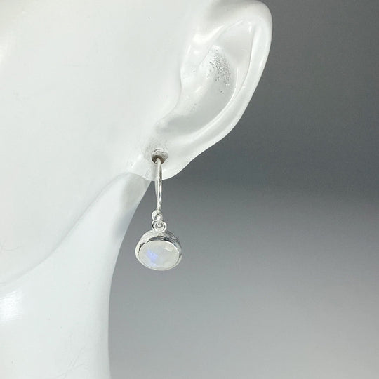 Rainbow Moonstone Dangle Earrings