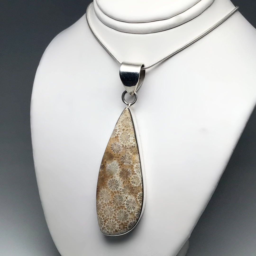 Fossilized Coral Pendant