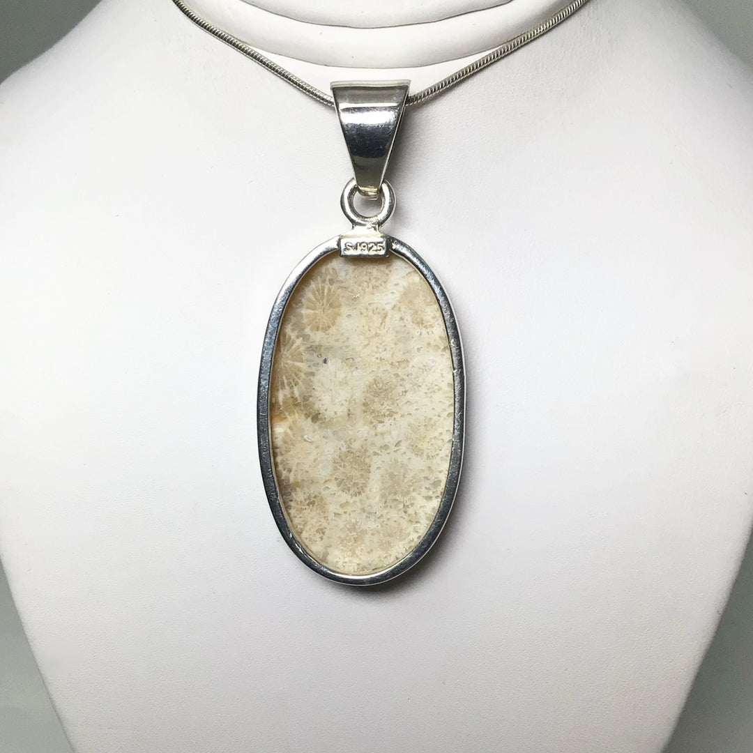 Fossilized Coral Pendant