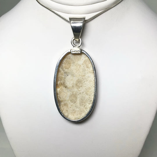 Fossilized Coral Pendant