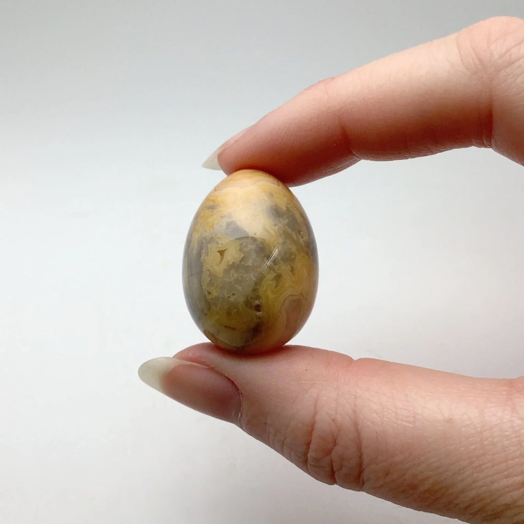 Crazy Lace Agate Mini Egg