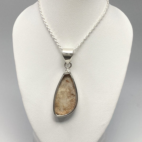 Fossilized Coral Pendant