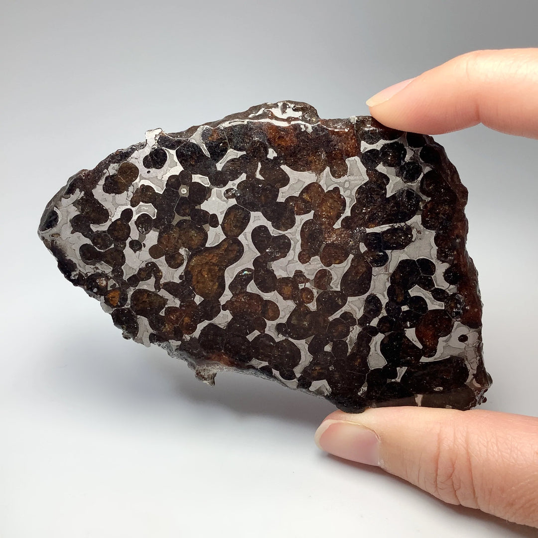 Sericho Meteorite Slice