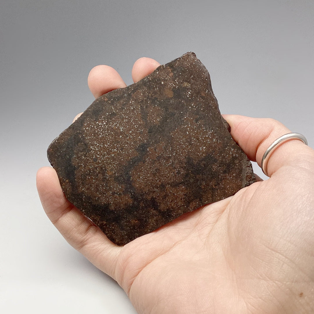 NWA Chondrite Meteorite Slab