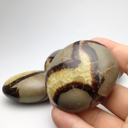 Septarian Tumble at $29 Each