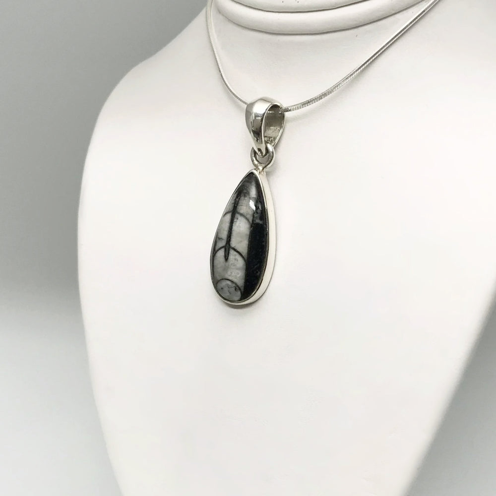 Orthoceras Pendant